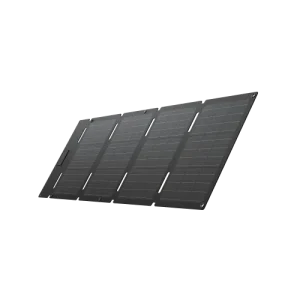 EcoFlow 60W Portable Solar Panel
